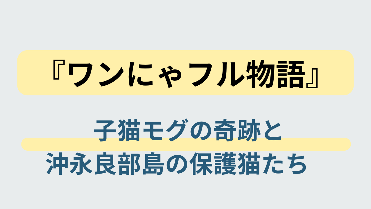 『世界を救う！ワンにゃフル物語』子猫モグと沖永良部島の保護猫ハウスを描いたアイキャッチ画像